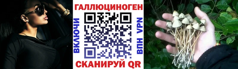 сколько стоит  Одинцово  Галлюциногенные грибы мицелий 